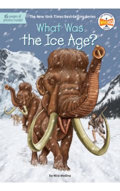 What Was the Ice Age?