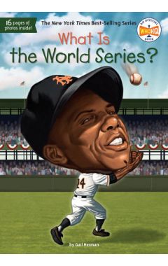 What Is the World Series?