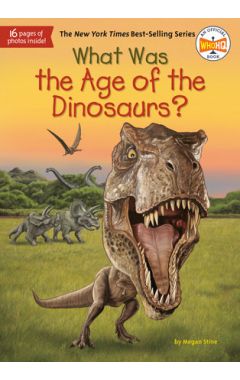 What Was the Age of the Dinosaurs?