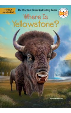 Where Is Yellowstone?